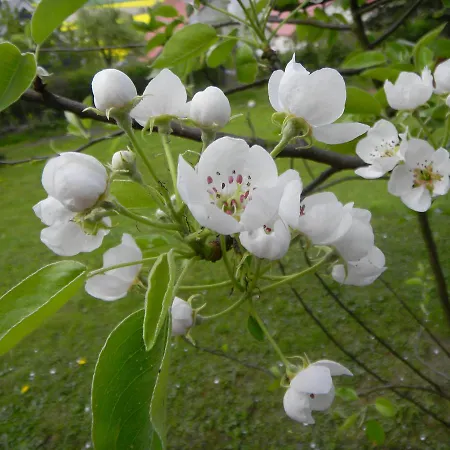 度假居 Ferienhaus Waldfriede *
